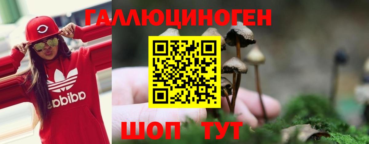 Магнитогорск  Галлюциногенные грибы Psilocybine cubensis  Вход с VPN 